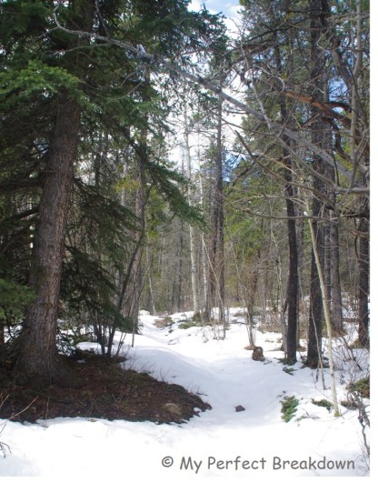 20140517 - Our Mother's Day Hike In the Mountains3
