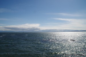 Pacific Ocean