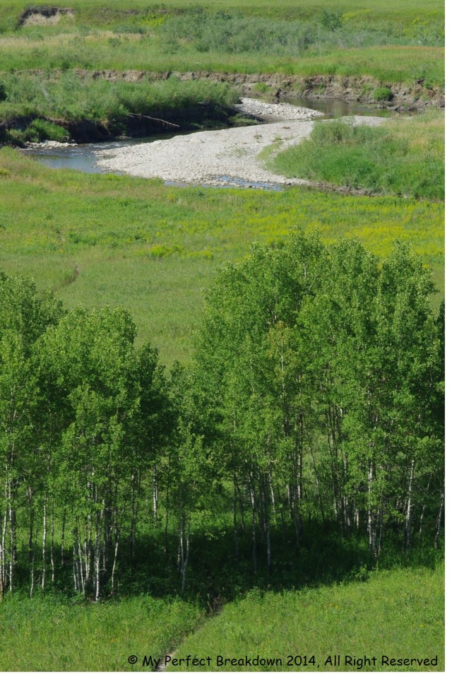 20140805 - 100HappyDays_Day23