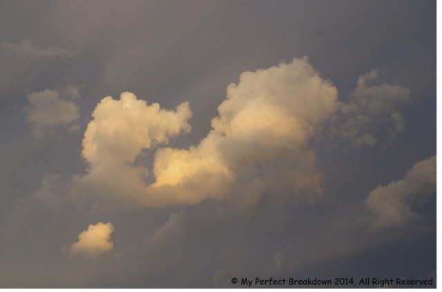 20140805 - 100HappyDays_Day26