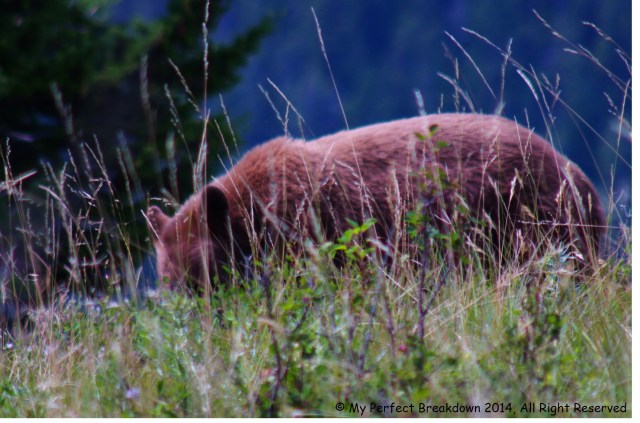 20140805 - 100HappyDays_Day28