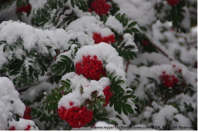 20140916 - 100HappyDays_Day64