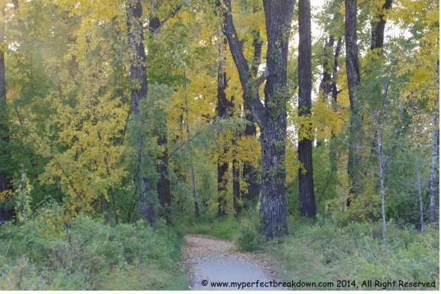 20140922 - 100HappyDays_Day73