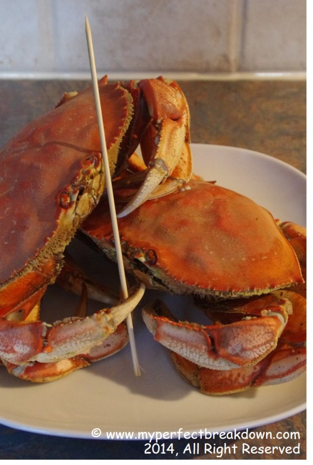 20141016 - 100HappyDays_Day100