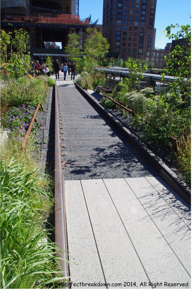 20141016 - 100HappyDays_Day98