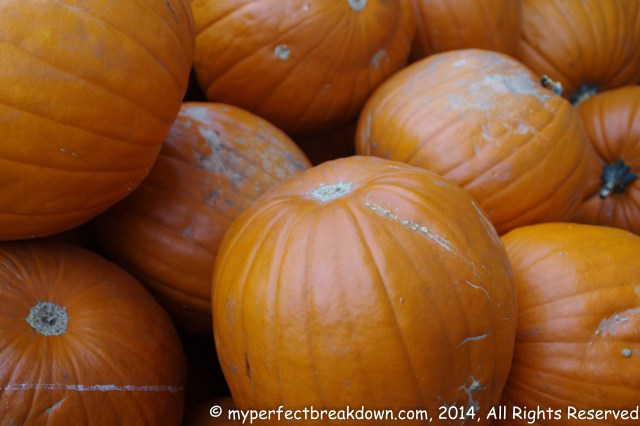 20141029 - 100HappyDays_Day112