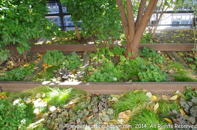 20141101_NYC (18 of 27)