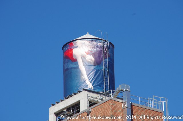 20141101_NYC (20 of 27)