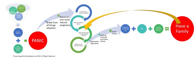 20141110 - How To Tackle The Adoption Process