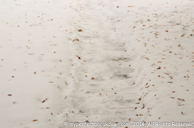 20141114 - 100HappyDays_Day127