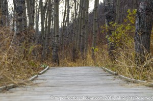 20141203 - Navigating The Most Difficult Road I've Ever Walked