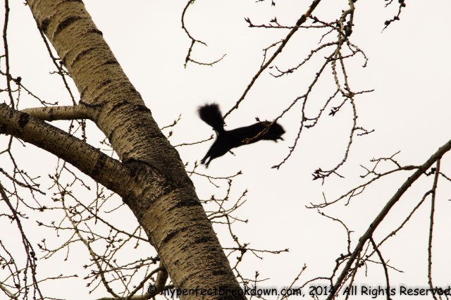 20141224 - 100Happydays_Day168