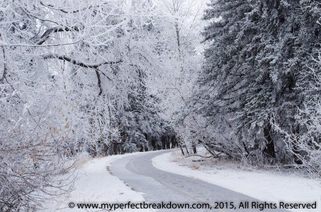 20150208 - 100HappyDays_Day215