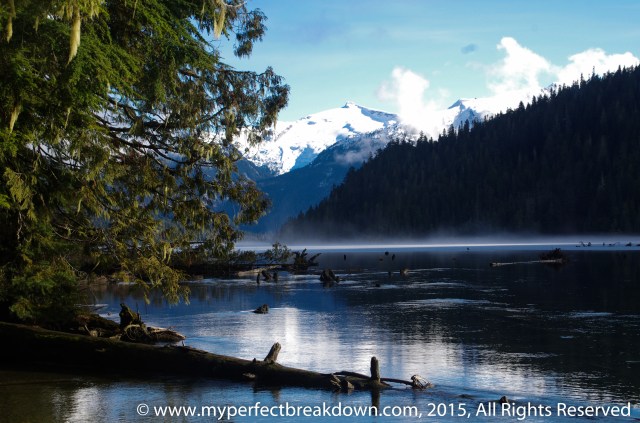 20150222 - 100HappyDays_Day223