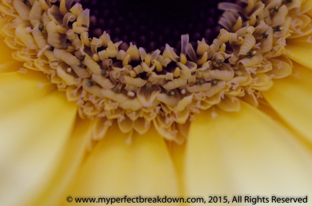 20150222 - 100HappyDays_Day228