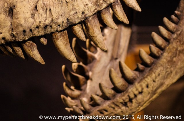 20150308 - 100HappyDays_Day237