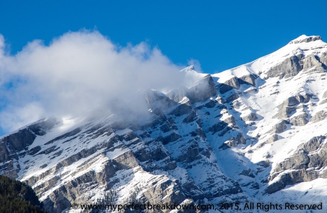 20150322 - 100HappyDays_Day253