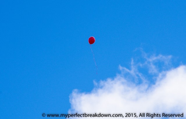 20150419 - 100HappyDays_Day280