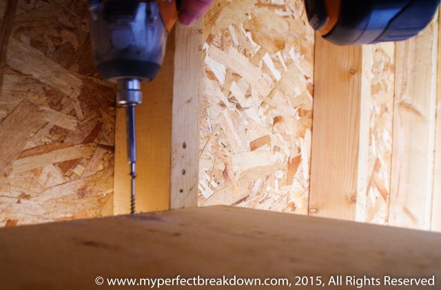 20150426 - 100HappyDays_Day286