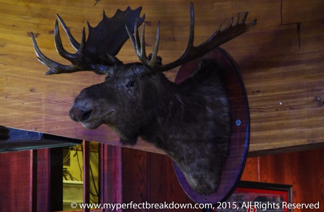 20150426 - 100HappyDays_Day289