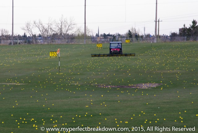 20150503 - 100HappyDays_Day295