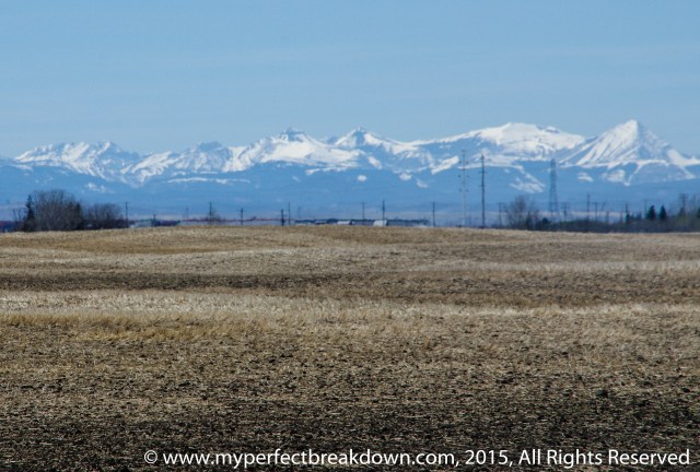 20150503 - 100HappyDays_Day296