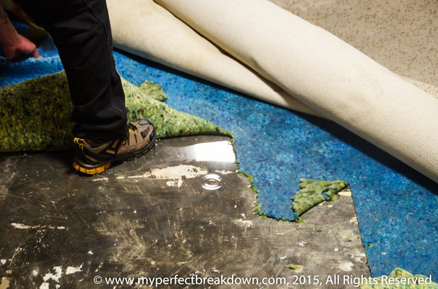 20150503 - 100HappyDays_Day299