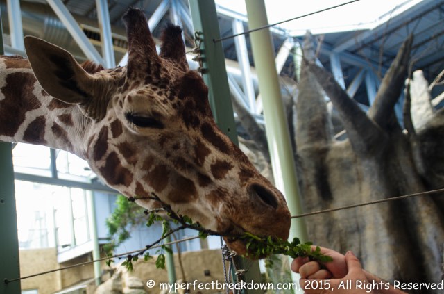 20150628 - 100HappyDays_Day349