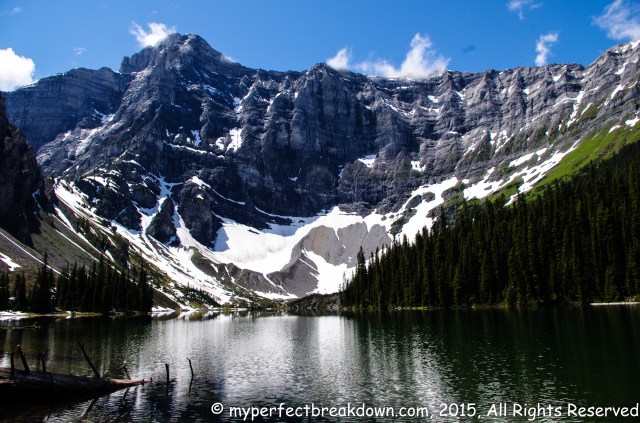 20150628 - 100HappyDays_Day350