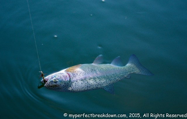 20150628 - 100HappyDays_Day352