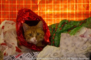 20151227 - SundayFunDay_8