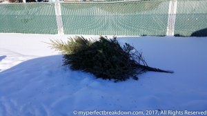 20161226_133320_editedhq